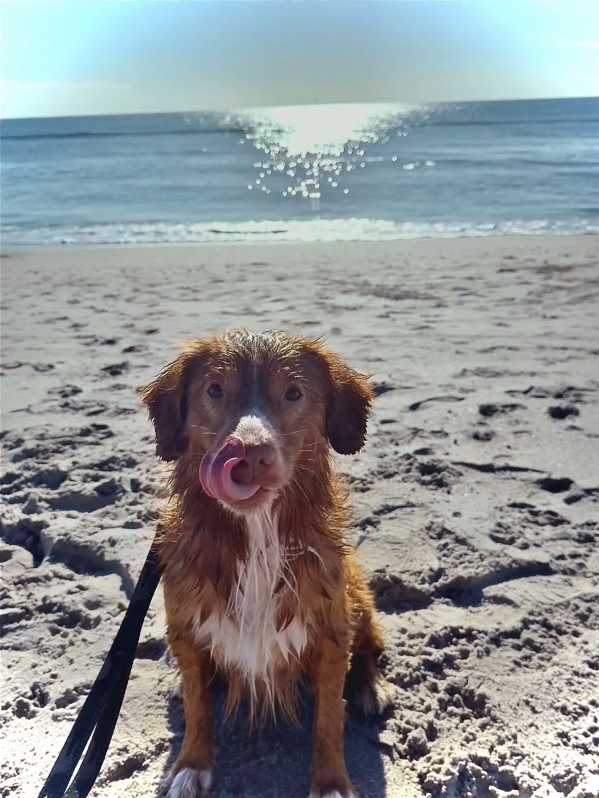 Post-bath zoomies in full effect.