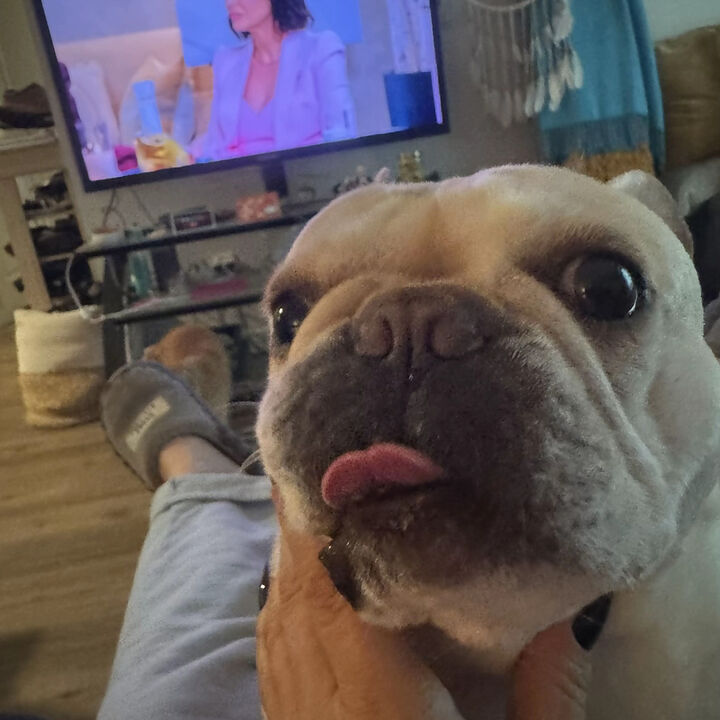 Duke