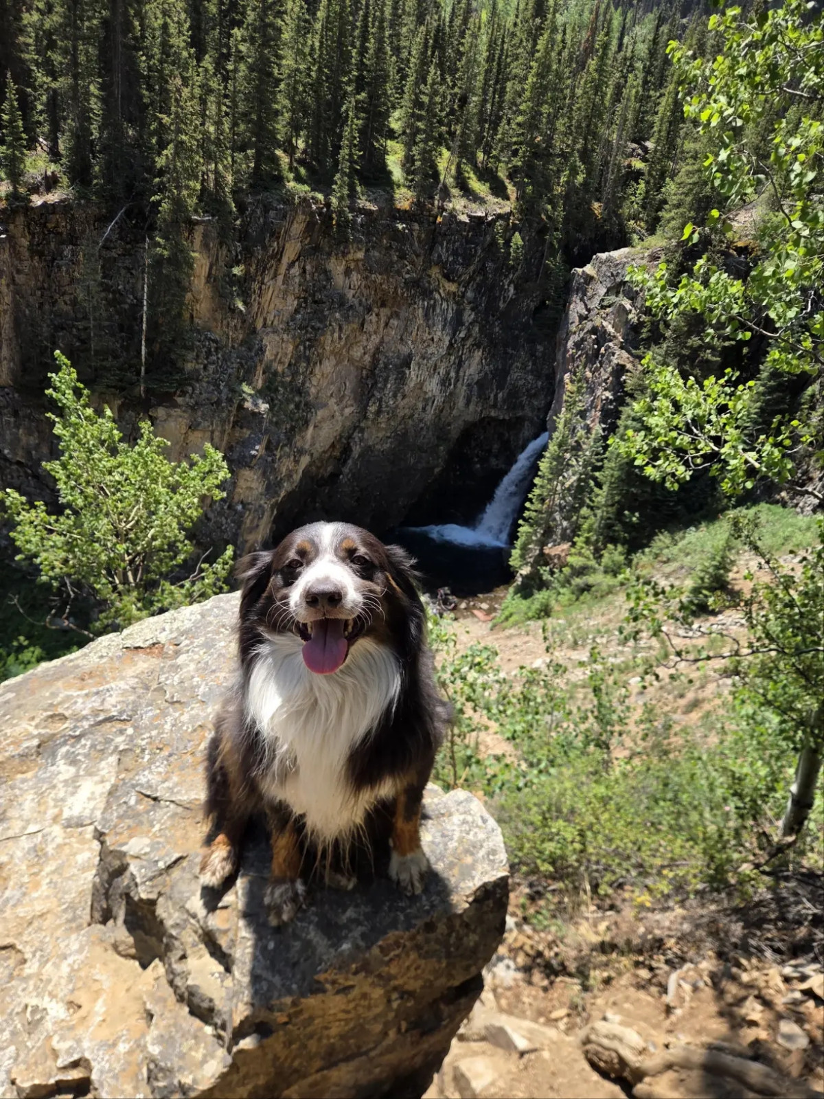 Muddy paws, full heart.
