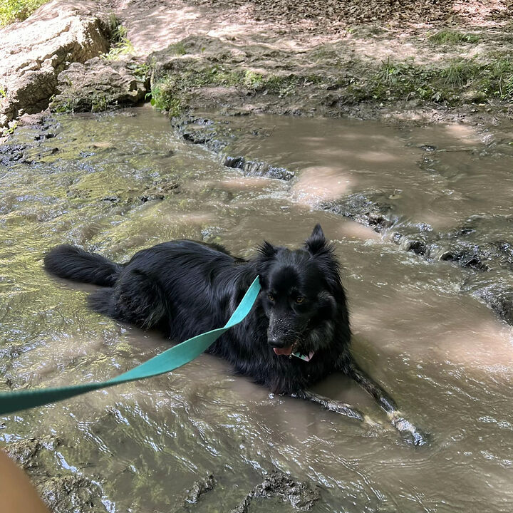Bella