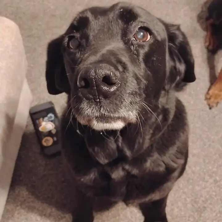 Gus