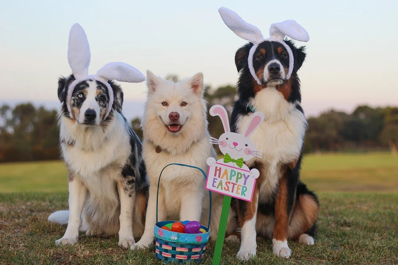 Hide your Easter chocolate!